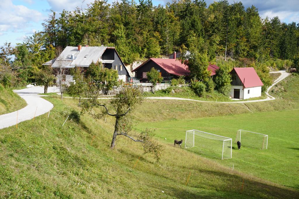 Guest House Beli Kamen Vojsko Exterior photo
